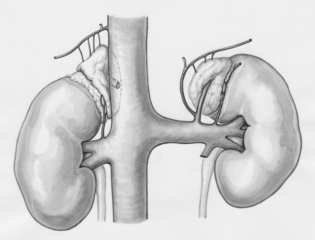 Medical resources and health information